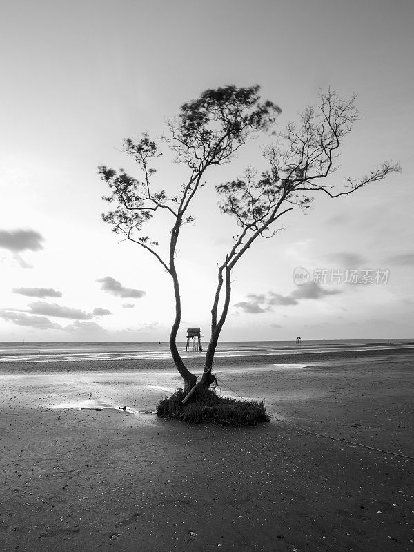 日出在Tan Thanh海滩，天江省，湄公河三角洲
